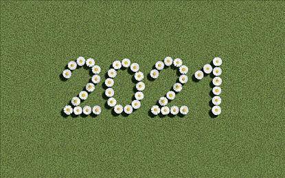 微软还没有和动视暴雪讨论CEO去留问题